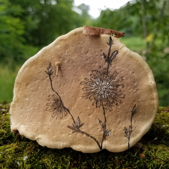 About Inspiration Boreal - Picture 6 of 16